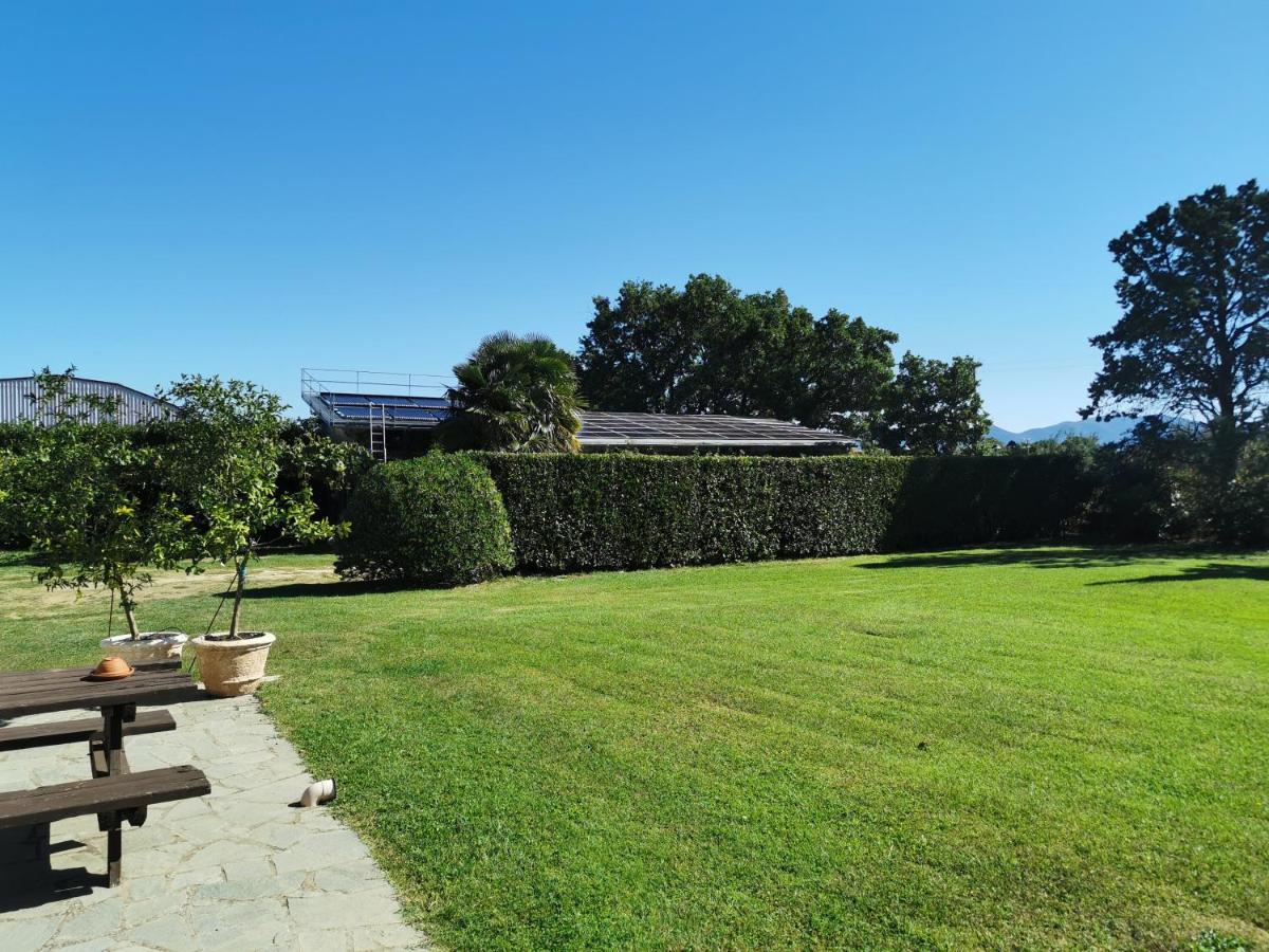 Casale Dei Gelsi Bed & Breakfast Castiglione In Teverina Luaran gambar